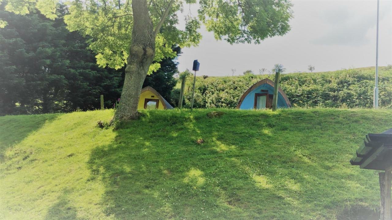 East Coast Adventure Centre Glamping Rostrevor Exterior foto
