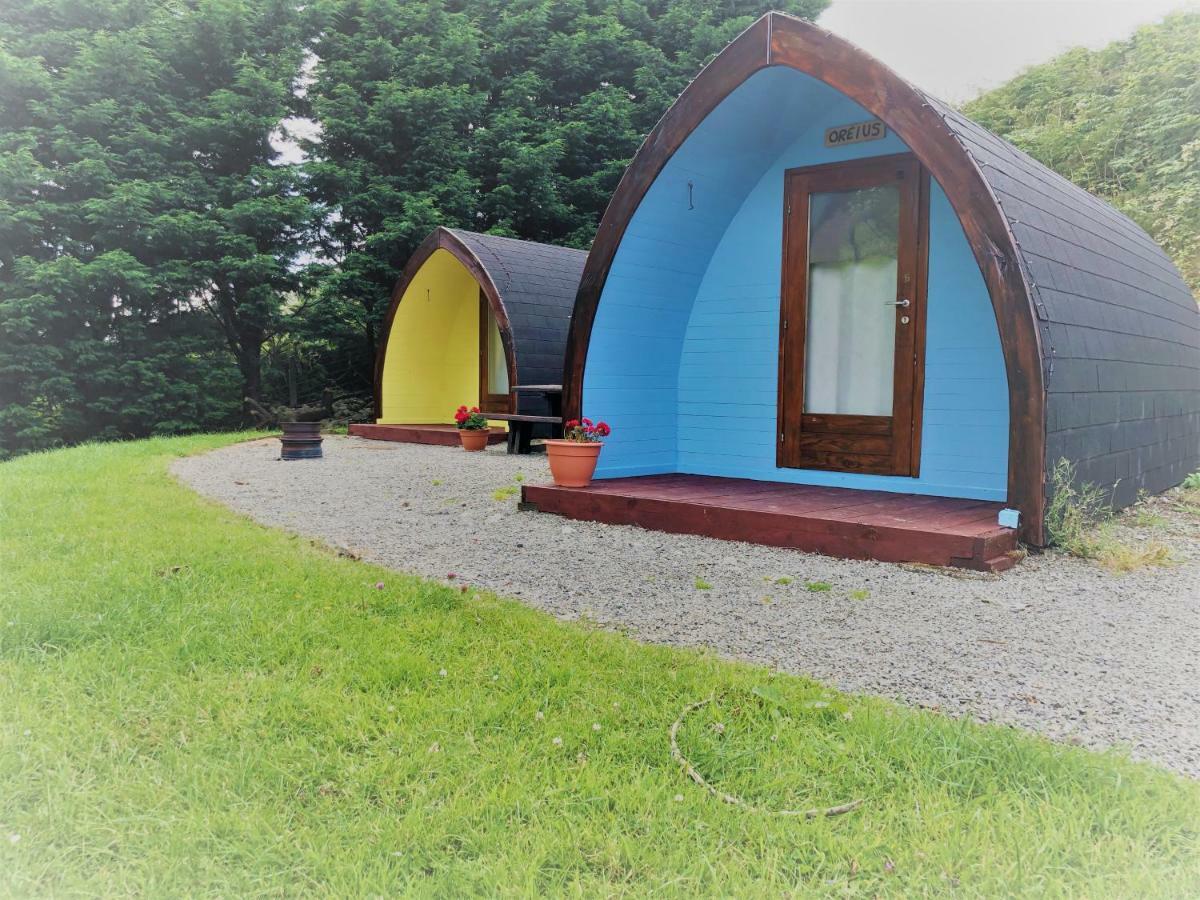 East Coast Adventure Centre Glamping Rostrevor Exterior foto
